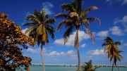 03 - Florida Keys (5)